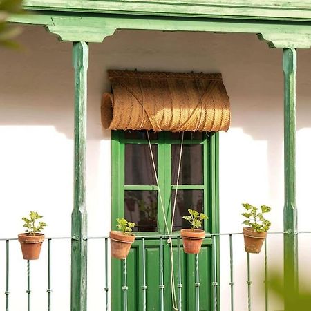Apartamento A Estrenar En Calle Alcazares เซบีญา ภายนอก รูปภาพ